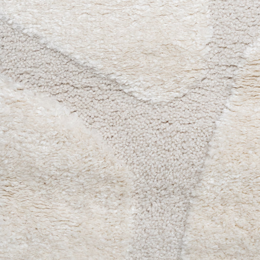 TAPETE ARAS BEIGE BEIGE 2