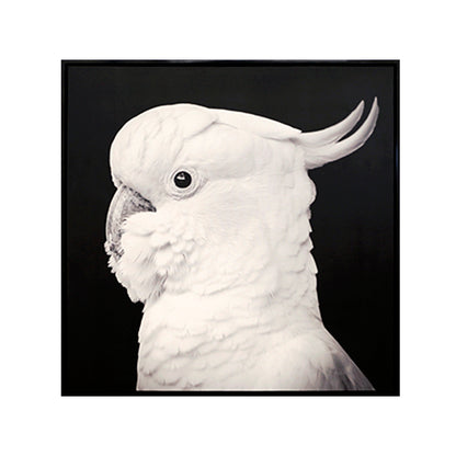 CUADRO CACATÚA