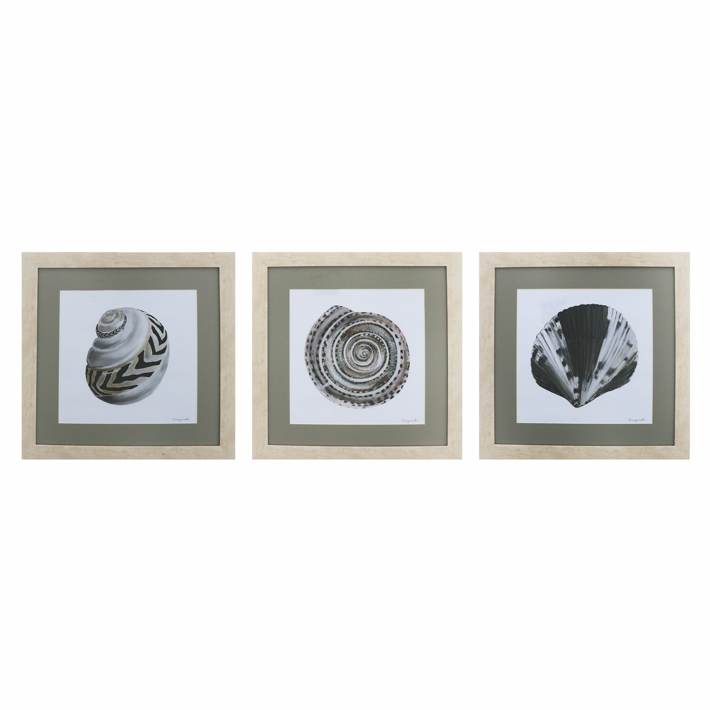 GICLÉE CARACOL ÓLEO SET 3