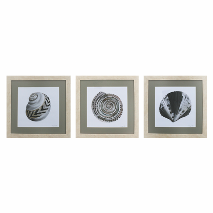 GICLÉE CARACOL ÓLEO SET 3