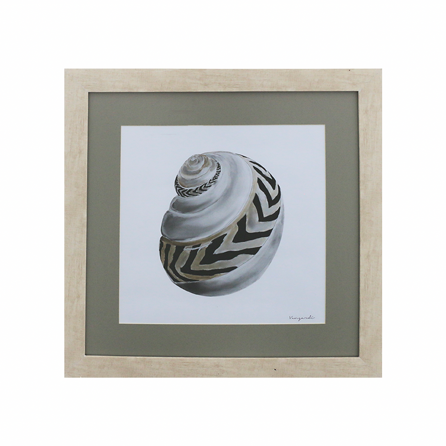 GICLÉE CARACOL ÓLEO SET 3