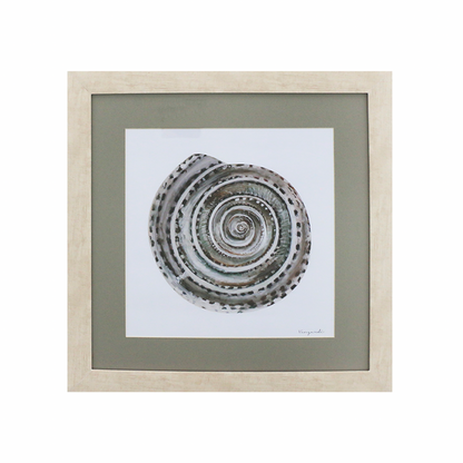 GICLÉE CARACOL ÓLEO SET 3