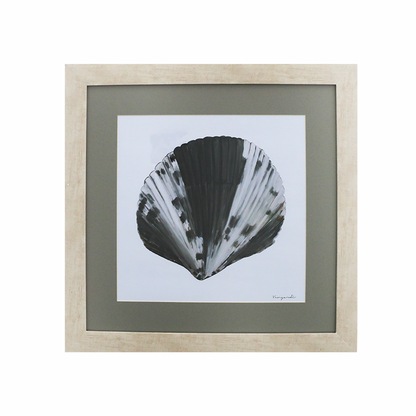 GICLÉE CARACOL ÓLEO SET 3