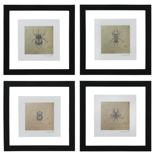 GICLÉE ESCARABAJOS SET 4