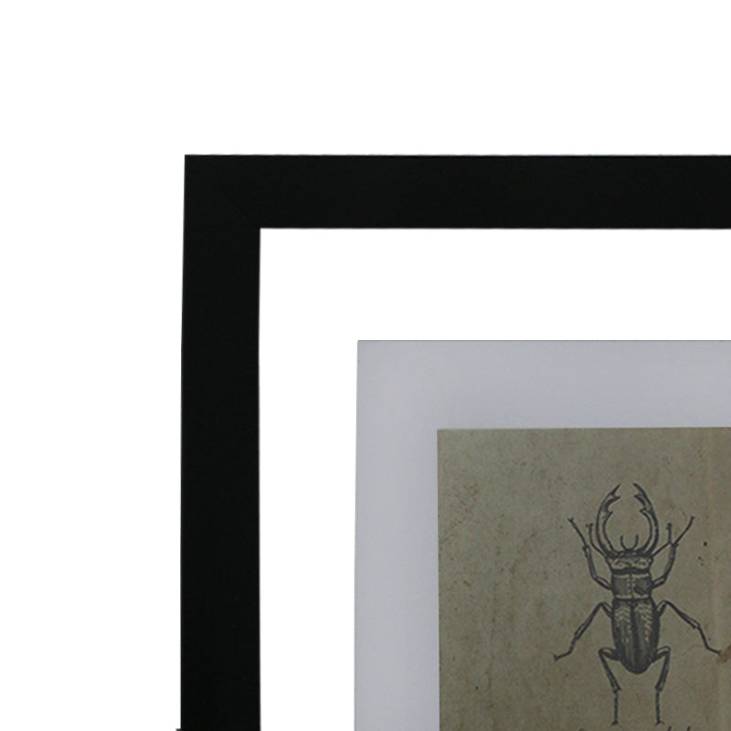GICLÉE ESCARABAJOS SET 4