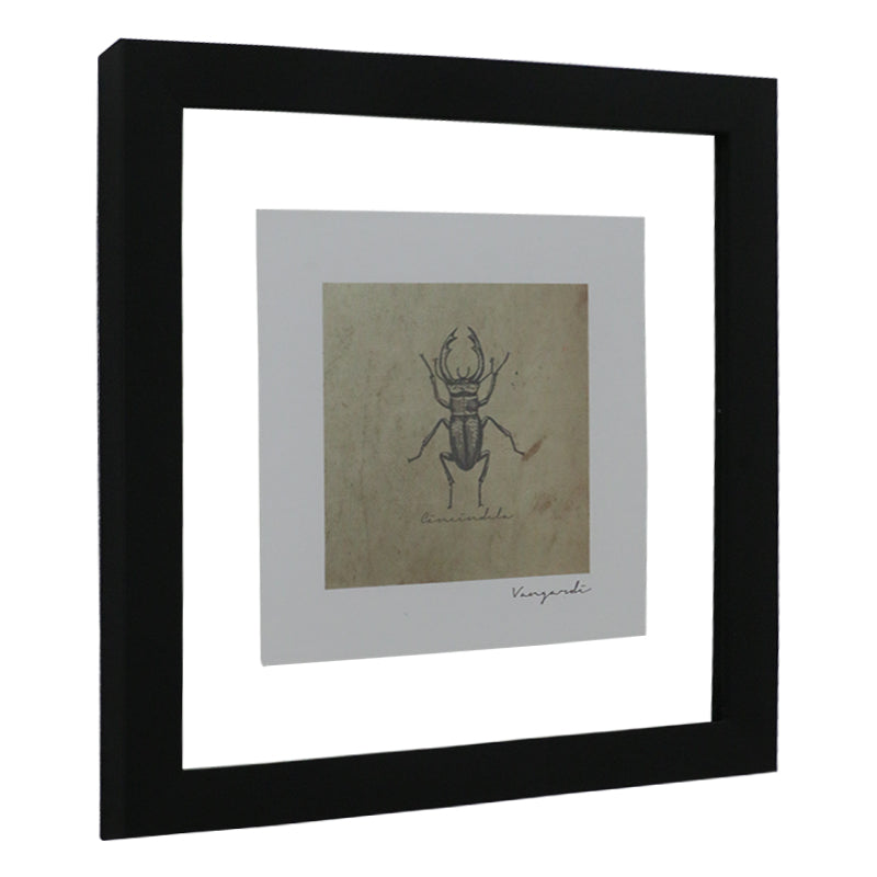 GICLÉE ESCARABAJOS SET 4