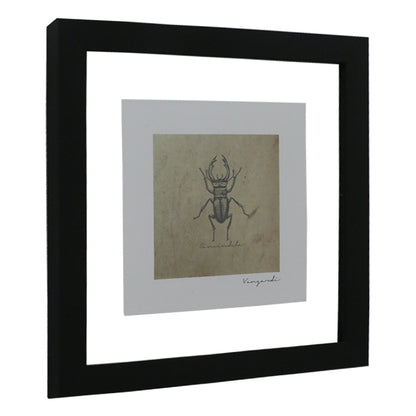 GICLÉE ESCARABAJOS SET 4